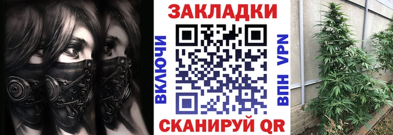 Виды наркоты Пласт COCAIN A PVP Каннабис Меф